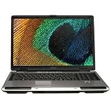 Toshiba Satellite P105-S6217 17 Laptop (Intel Core 2 Duo Processor T5500, 2 GB RAM, 200 GB Hard Drive, SuperMulti DVD Drive, Vista Premium)