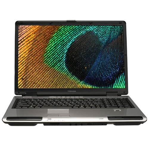 PCHardware: Toshiba Satellite P105 S6217 17
