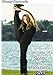 STACEY NEMOUR's Secrets of Splits & Flexibility