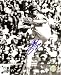 Jim Palmer Autographed/Hand Signed Baltimore Orioles 8x10 Photo (Black & White) with HOF Inscription