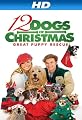 12 Dogs Of Christmas: Great Puppy Rescue [HD]