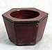 Self Watering Glazed Ceramic Pot - Copper - 6 3/8