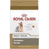 ROYAL CANIN BREED HEALTH NUTRITION Yorkshire Terrier Adult dry dog food, 10-Pound