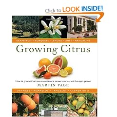 Growing Citrus: The Essential Gardener's Guide
