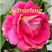 Attracting Love: How to Manifest Mutually Fulfilling Relationships