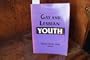 Gay and Lesbian Youth (Journal of Homosexuality Series)