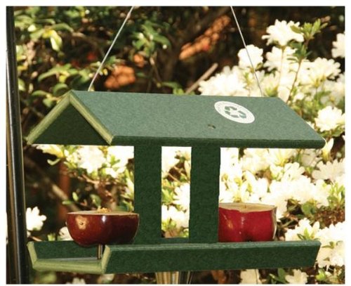 Fruit & Jelly Feeder w/Dish Green