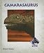 Camarasaurus (Dinosaurs)