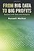 From Big Data to Big Profits: Success with Data and Analytics