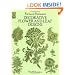 Decorative Flower and Leaf Designs (Dover Pictorial Archive)