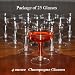 25 - 4 ounce Disposable Plastic Champagne or Wine Glass (4 oz each)