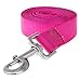 ITERY Dog Leash, Pet Durable Leash Strap for Puppy Pet Leash Rope 6-feet Long 1” Wide (Hot Pink)