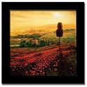 Poppies Field Tuscany Italian Framed Print Art Picture