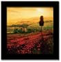 Poppies Field Tuscany Italian Framed Print Art Picture