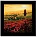 Poppies Field Tuscany Italian Framed Print Art Picture