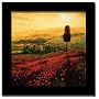 Poppies Field Tuscany Italian Framed Print Art Picture