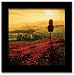 Poppies Field Tuscany Italian Framed Print Art Picture