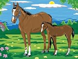 SES creative 01508 - Malen nach Zahlen Pferd und Fohlen - 