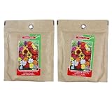 Hummingbird & Butterfly Garden Flower Seeds - 2 Packs
