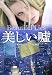 美しい嘘 (ハヤカワ・ミステリ文庫)