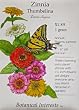 Zinnia Thumbelina Seeds