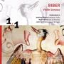 Violin Sonata No. 3: (Praeludium)/ Aria e Variatio