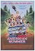 Wet Hot American Summer - Movie Poster - 27 x 40
