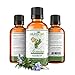 Real Rosemary Essential Oil :: Pure Undiluted (1oz)