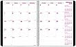 Brownline 2010 PlannerPlus Monthly Planner 14Months (Dec-Jan) Twin-Wire, Black , 8-7/8 x 7-1/8 Inches (CB1200N.BLK)