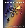 Group Dynamics