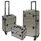 Friseurkoffer Alu Trolley Koffer Schminkkoffer Pilotenkoffer Visagistenkoffer in Champagner