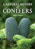 Royal Horticultural Society encyclopedia of conifers : a comprehensive guide to cultivars and species