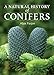 A Natural History of Conifers