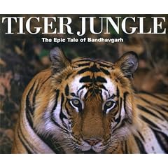 Tiger Jungle: The Epic Tale of Bandhavgarh