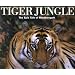 Tiger Jungle: The Epic Tale of Bandhavgarh