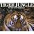 Tiger Jungle: The Epic Tale of Bandhavgarh
