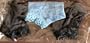 Barbie Doll Size Underwear: Package of 3 Panties For Barbie & 11.5" Fashion Dolls (Black & Blue)