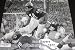 Gale Sayers Autographed Chicago Bears11x14 Action Photo ~ Limited Edition of only 40!