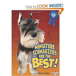 Best Miniature Dogs