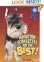 Miniature Schnauzers Are the Best! (Best Dogs Ever)