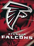 NFL Football Atlanta Falcons Royal Plush Raschel Throw Blanket Twin Size 60" X 80"