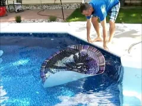 Dartboard Mosaic Pool Mat, 29 Inches in Diameter, Vinyl, All Weather, Durable, Easy to Install and Remove, Works in Any Pool, Poolsaic Mats