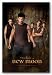 Twilight 2 - New Moon Movie Poster - Wolf Pack (Jacob) 36"x24" Art Print Poster