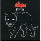 Feline