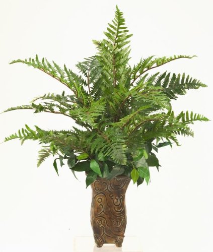 Fern In Tall Square Ceramic Planter, 24Hx18W, GREEN
