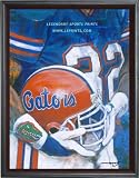 Univ of Florida Helmet Series - Large Framed Canvas Art Print - Florida Gators