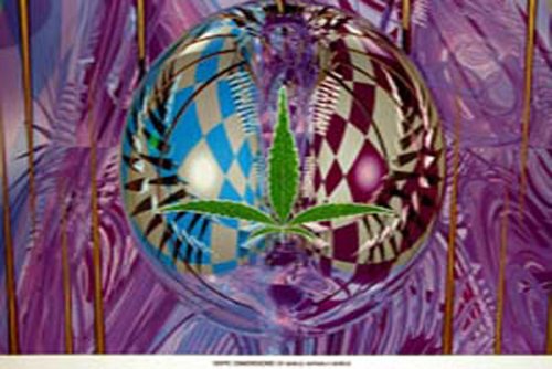 Empire 10377 Dope - World Domination - Poster - Gr&ouml;sse 90 x 64 cm Preisvergleich