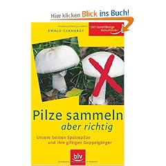 Pilze sammeln aber richtig: Unsere besten Speisepilze und ihre giftigen Doppelg�nger