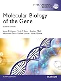 Molecular biology of the gene