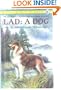 Lad: A Dog